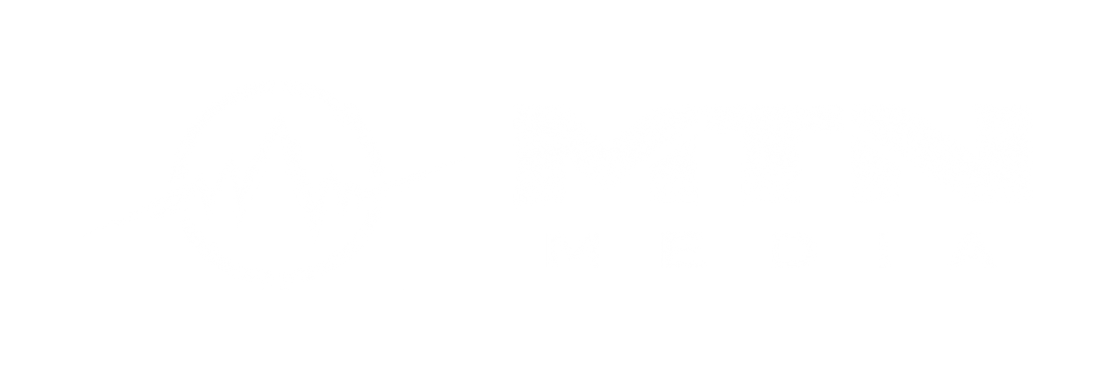 MTN Media — Orbit logo